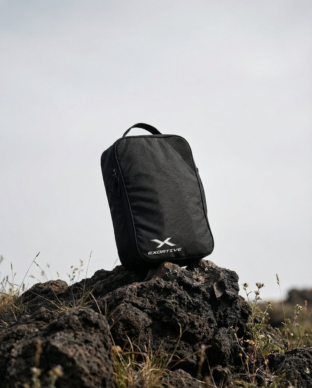 Exortive All In One Shoesbag